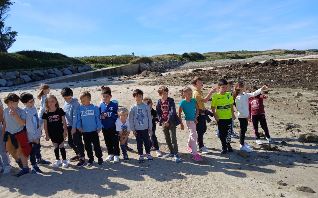 Course sur la plage pour les CE et CM ! 🏃‍♂️🏖️