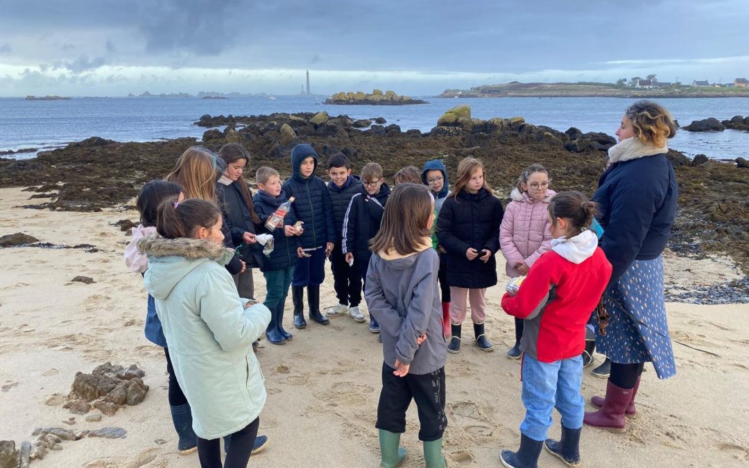 Aire Marine Educative