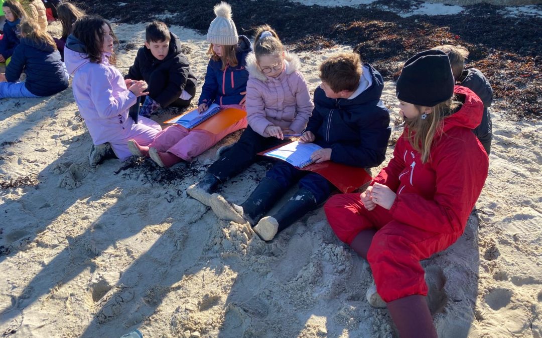 Aire Marine Educative